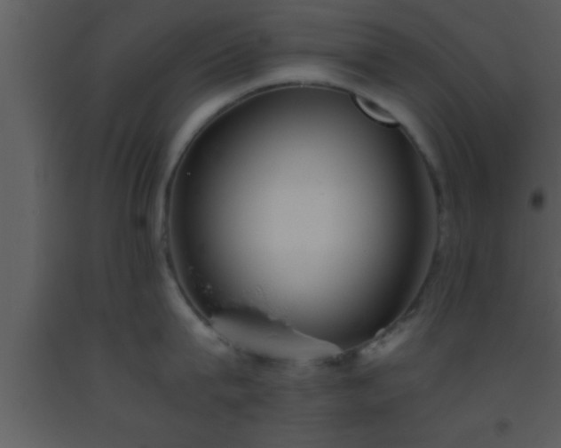 X0000093510815200710191309