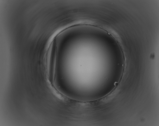 X0000093510816200710191309