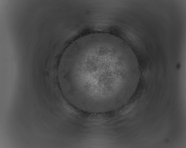 X0000093510817200710191309