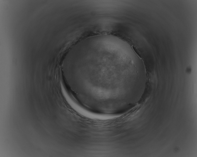 X0000093510818200710191309