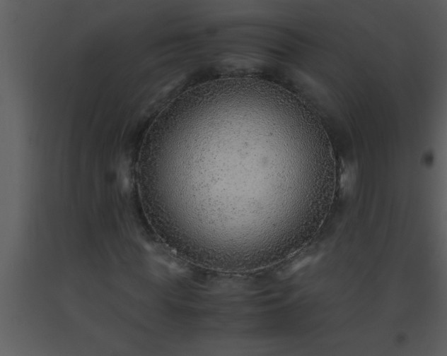 X0000093510819200710191309