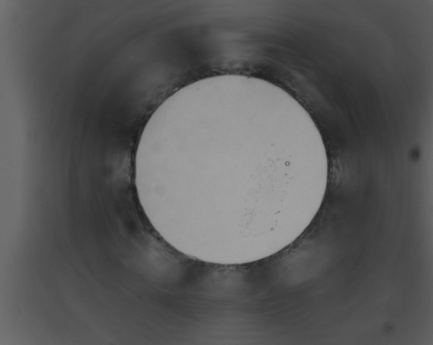 X0000093510820200710191309