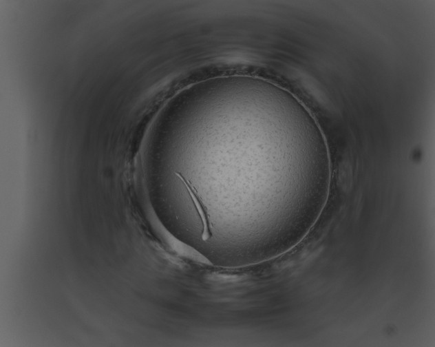 X0000093510821200710191309