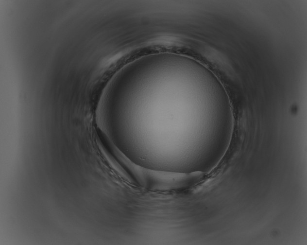X0000093510822200710191309