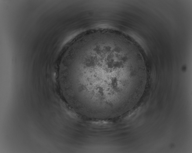 X0000093510823200710191309