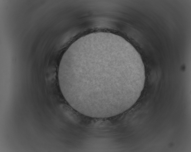 X0000093510824200710191309