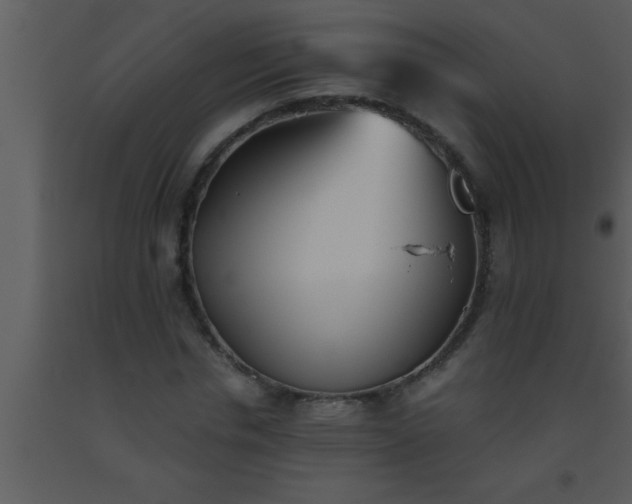 X0000093510826200710191309