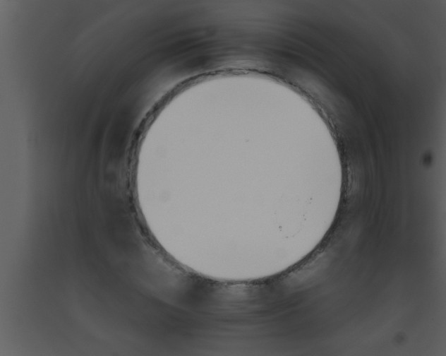 X0000093510828200710191309