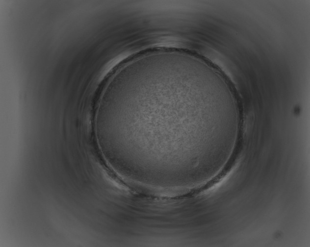 X0000093510829200710191309