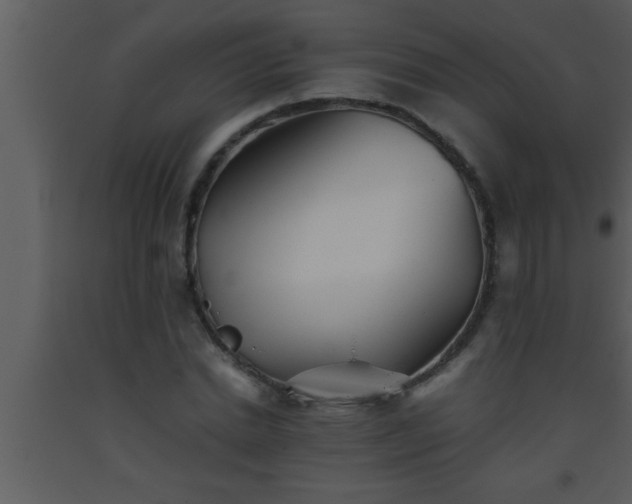 X0000093510830200710191309