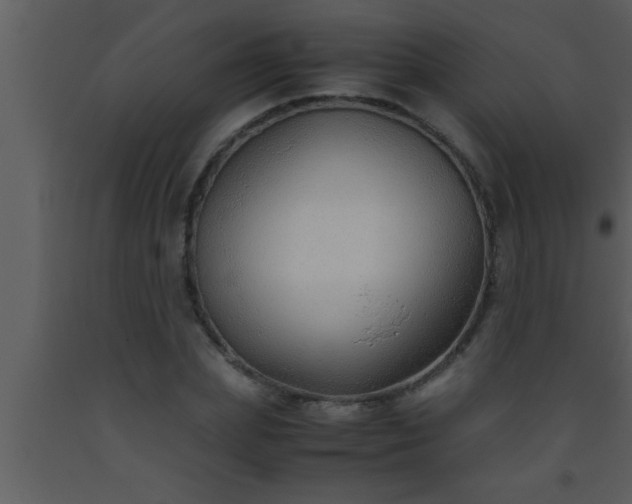 X0000093510831200710191309