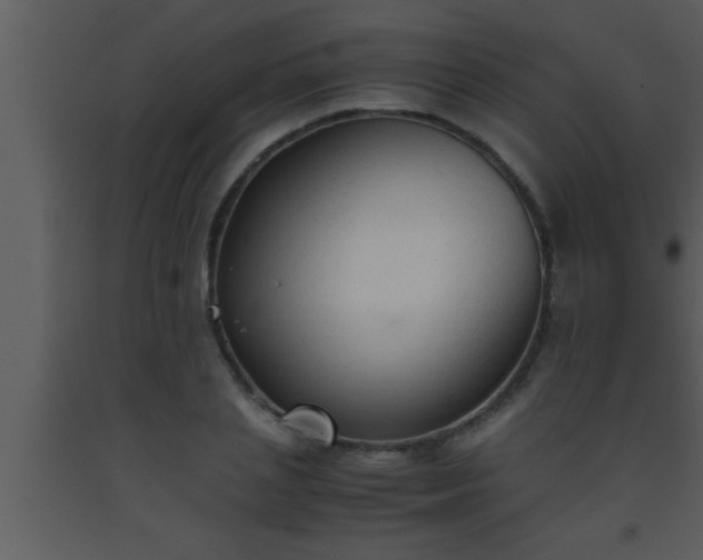 X0000093510837200710191309