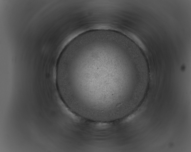 X0000093510839200710191309