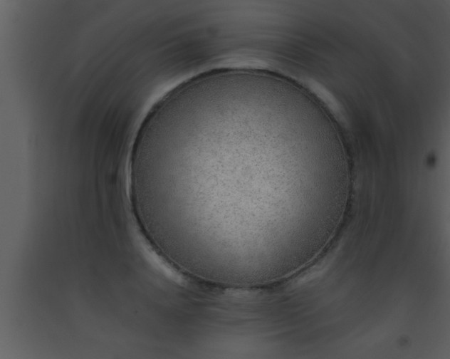 X0000093510840200710191309