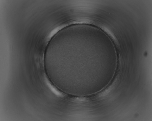 X0000093510842200710191309