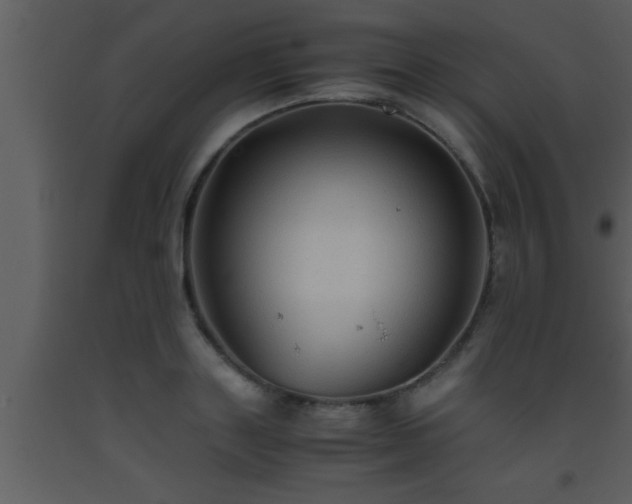 X0000093510843200710191309