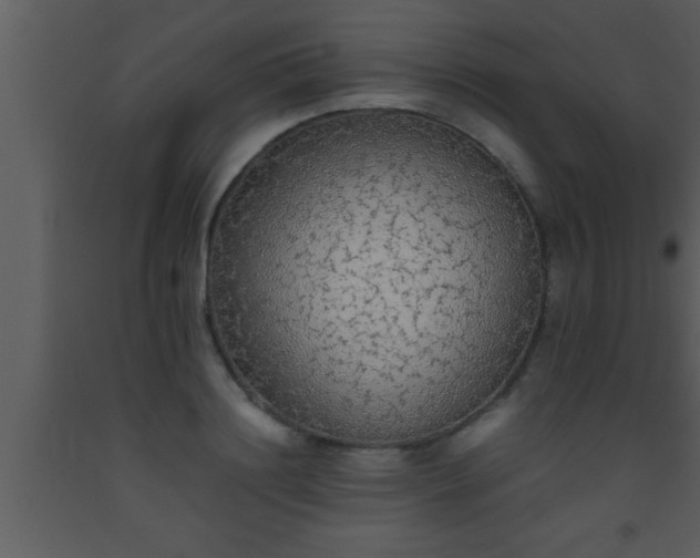 X0000093510844200710191309