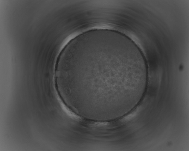 X0000093510845200710191309
