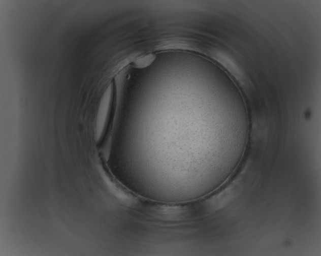 X0000093510849200710191309
