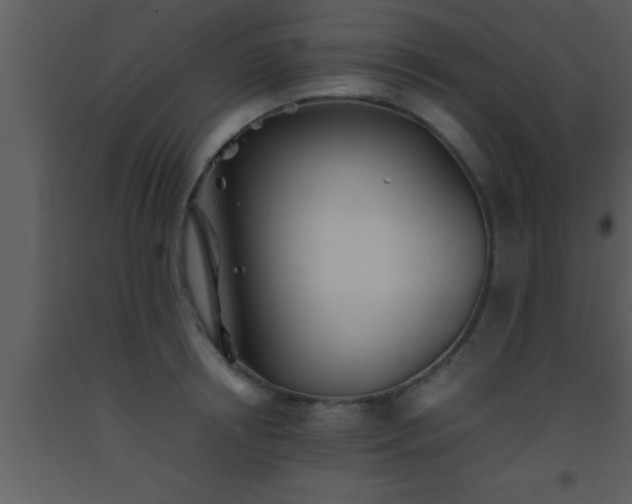 X0000093510850200710191309
