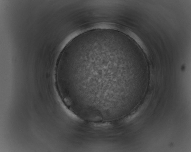X0000093510853200710191309