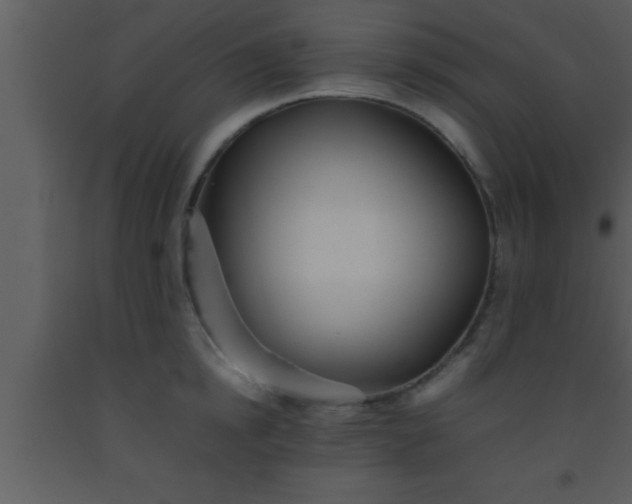X0000093510854200710191309