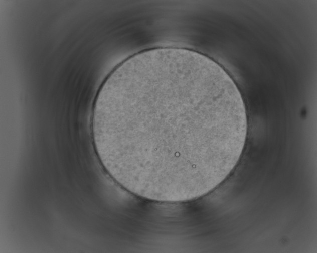X0000093510856200710191309
