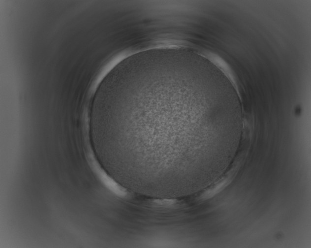 X0000093510859200710191309