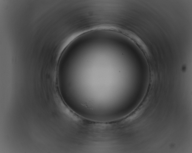 X0000093510860200710191309