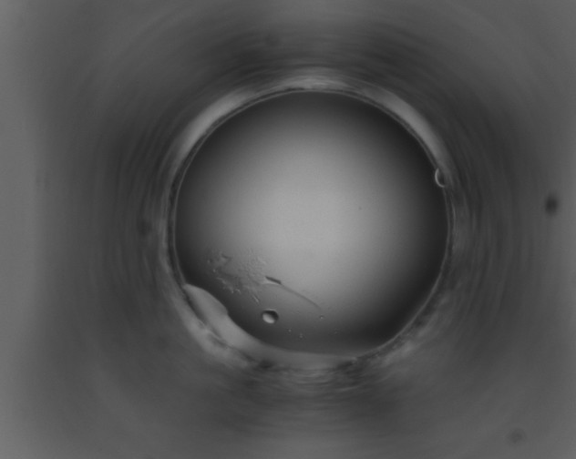 X0000093510861200710191309