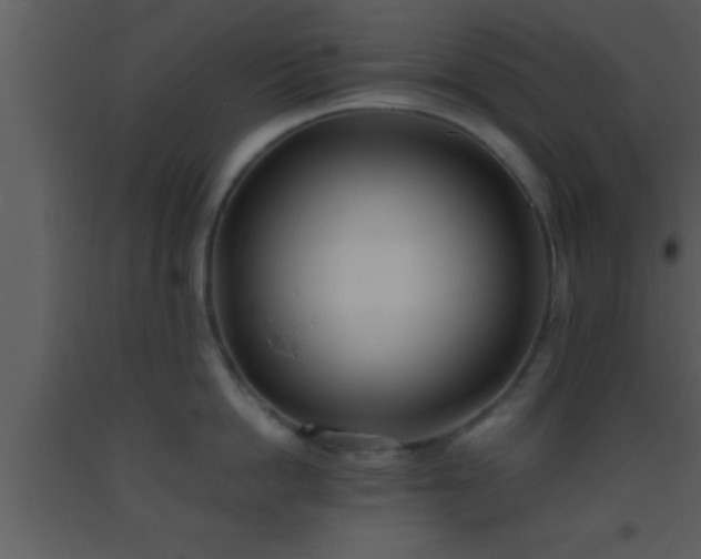 X0000093510862200710191309