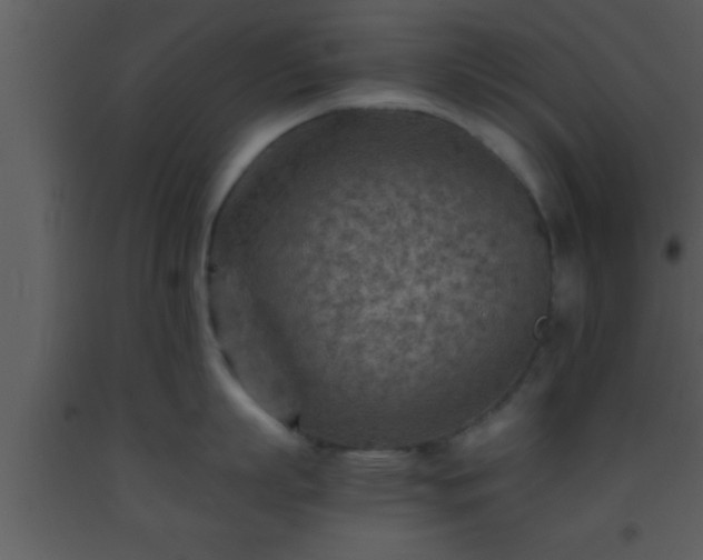 X0000093510863200710191309