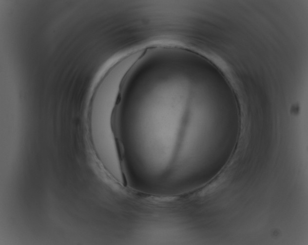 X0000093510864200710191309