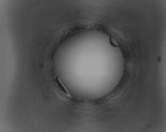 X0000093510865200710191309