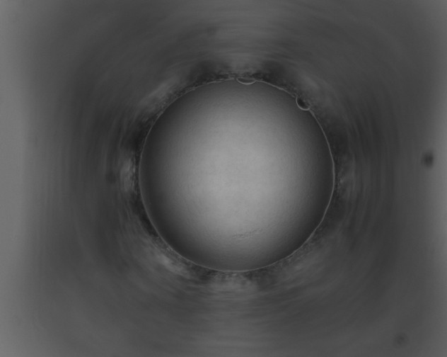 X0000093510866200710191309