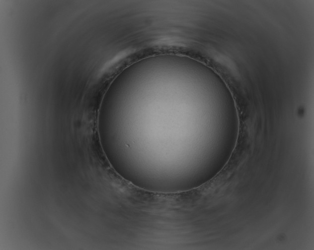X0000093510870200710191308