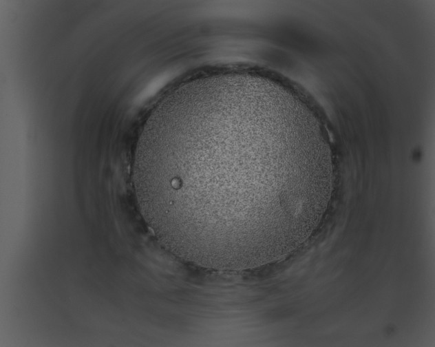 X0000093510871200710191308