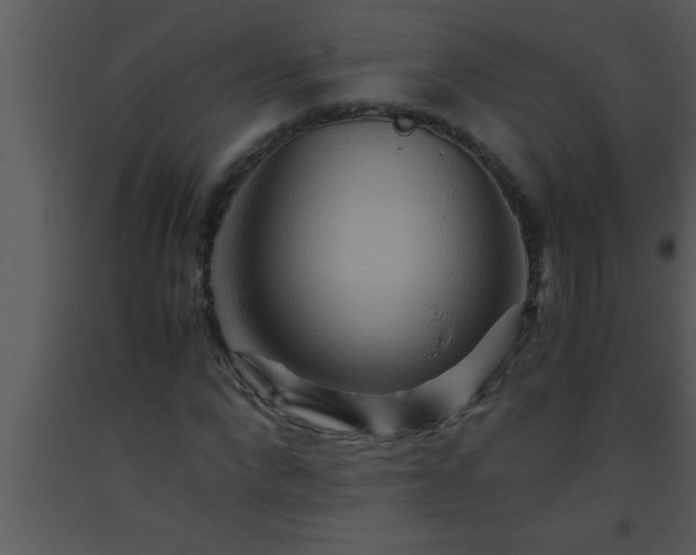 X0000093510872200710191308
