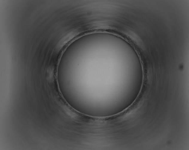 X0000093510873200710191308