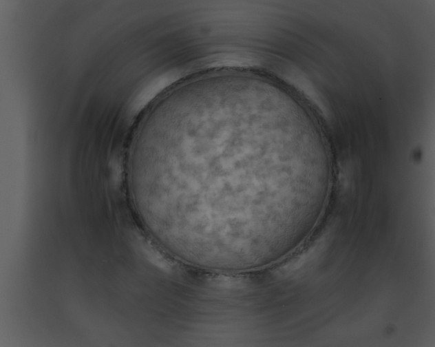 X0000093510874200710191308