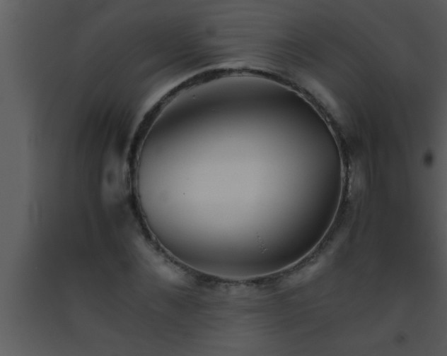X0000093510876200710191308