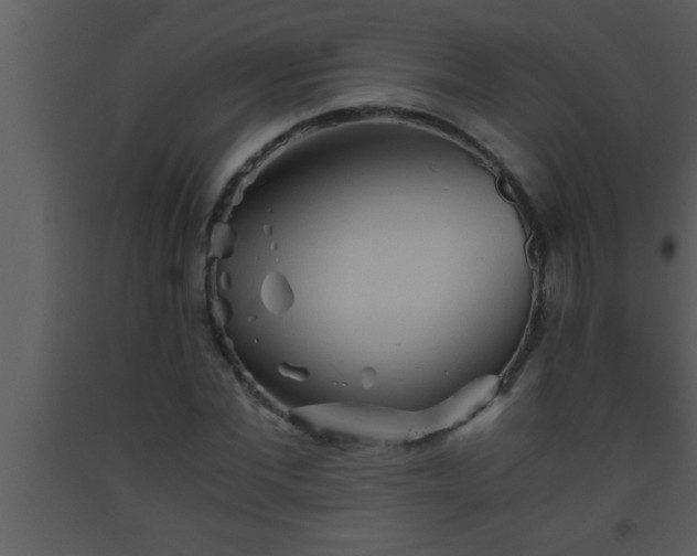 X0000093510877200710191308