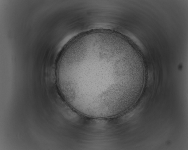 X0000093510878200710191308