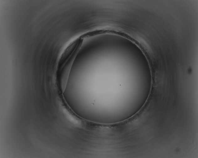 X0000093510880200710191308