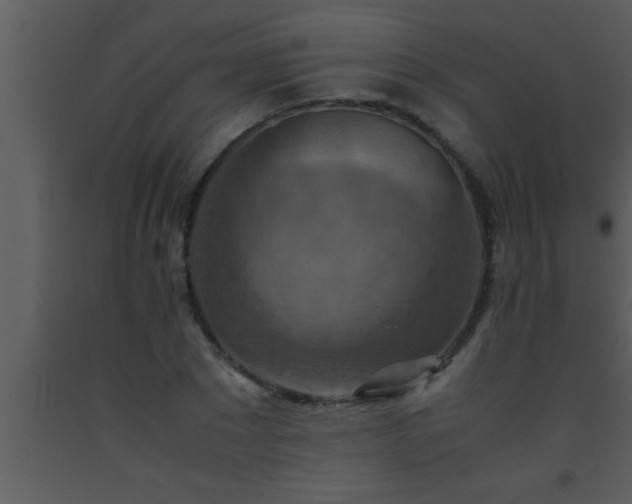X0000093510881200710191308