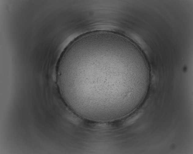 X0000093510883200710191308