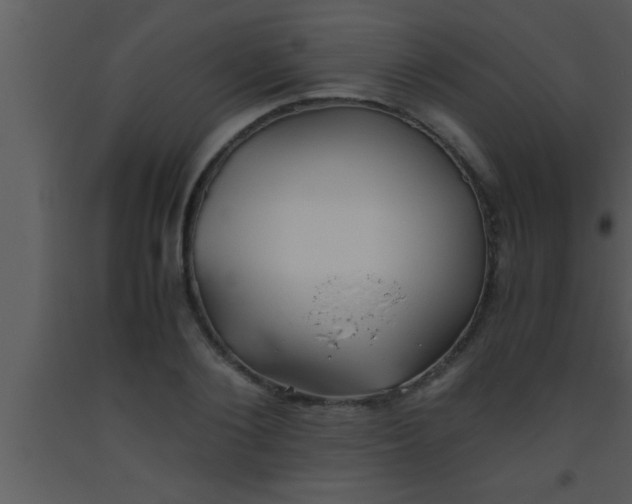X0000093510884200710191308
