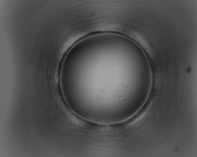 X0000093510885200710191308