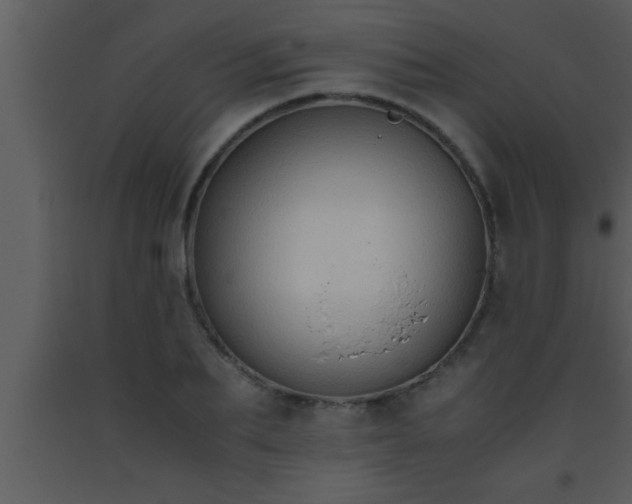 X0000093510887200710191308