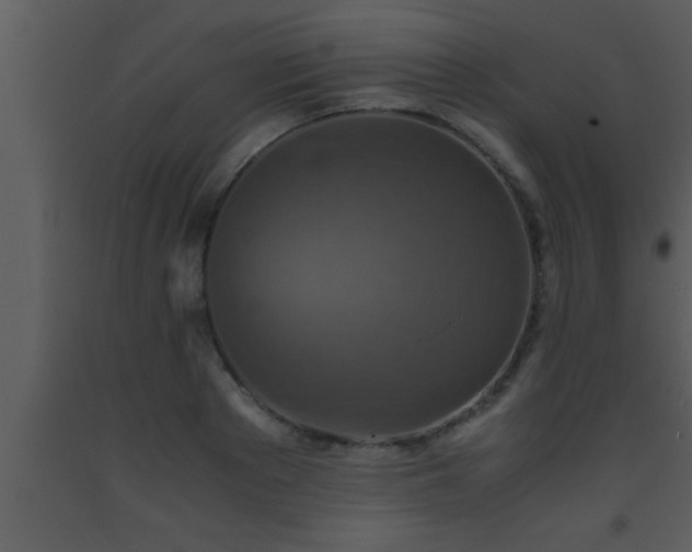 X0000093510889200710191308